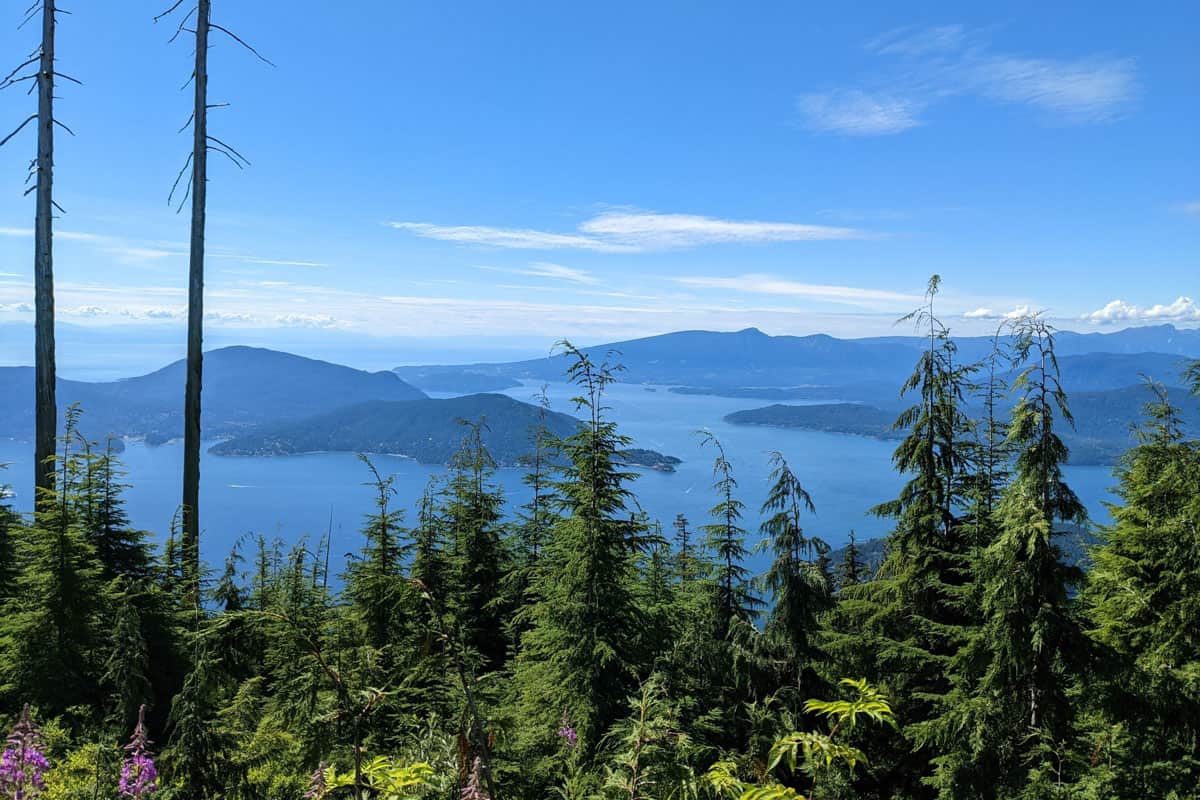 Bowen Lookout (Youstina Daoud)
