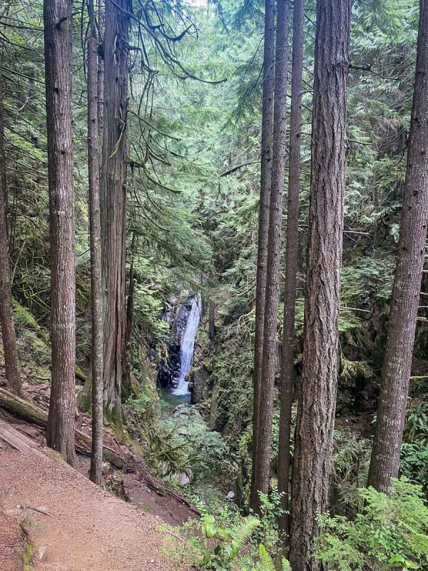 Cypress Falls (Catherine Guadagnuolo)