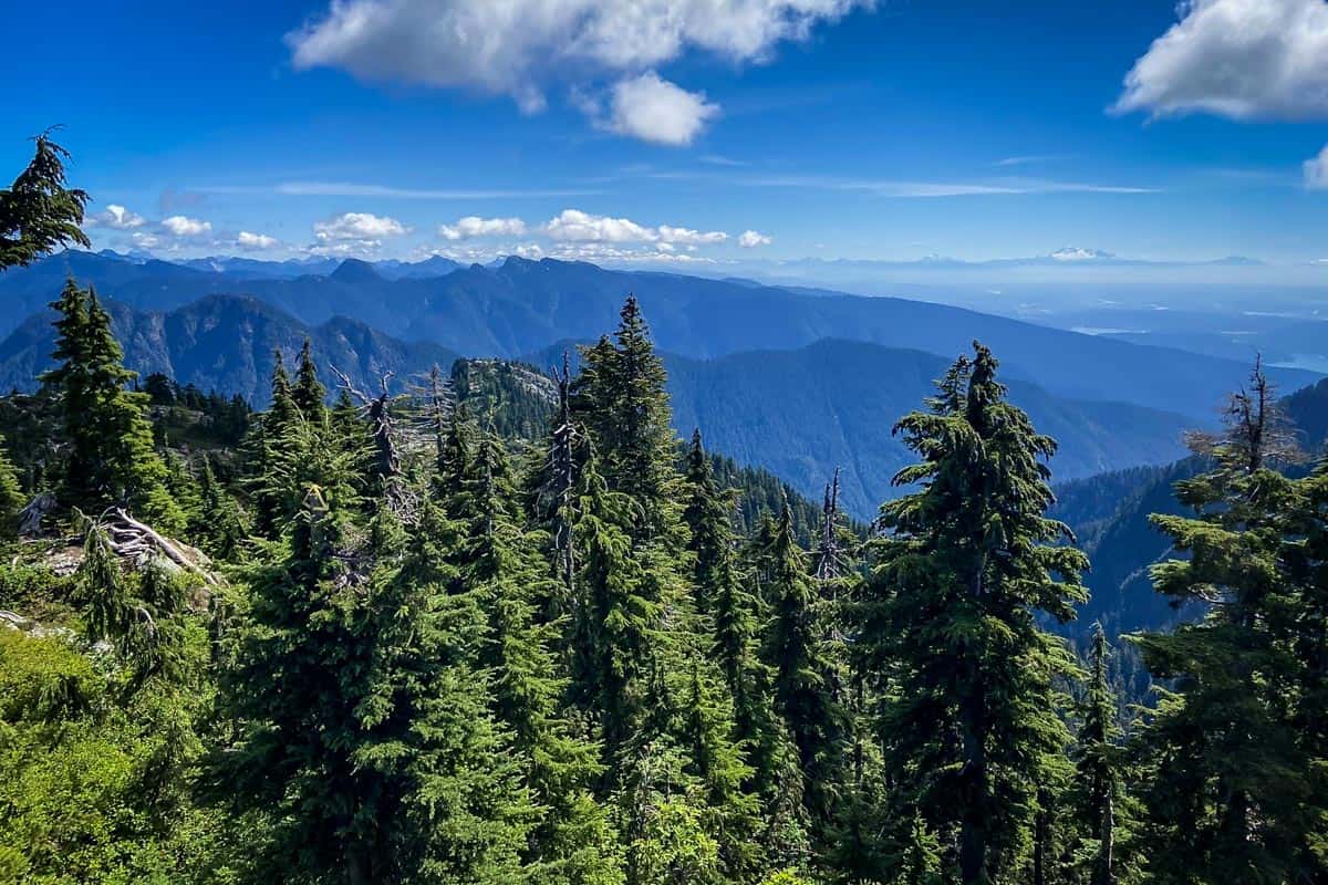 Goat Mountain (Sunny Pao)