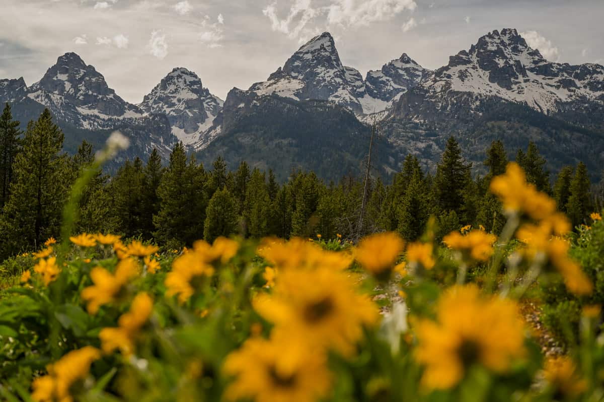 Grand Teton National Park