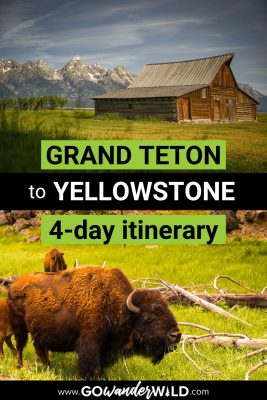 4 Day Grand Teton to Yellowstone Itinerary - Go Wander Wild