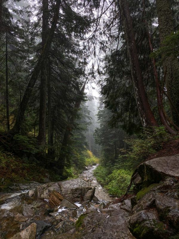 Vancouver hikes | Hollyburn