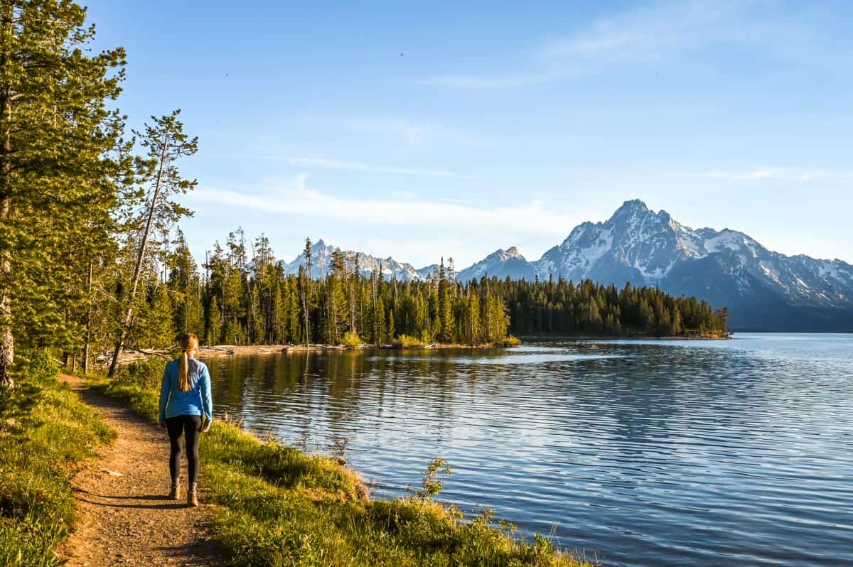 Lakeshore Trail at Jackson Lake Grand Teton National Park