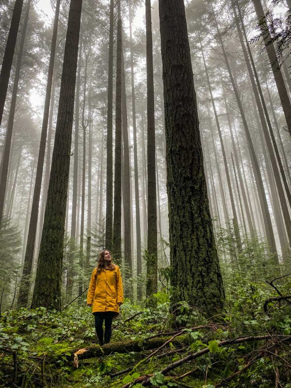 Vancouver hikes | Pacific Spirit Park