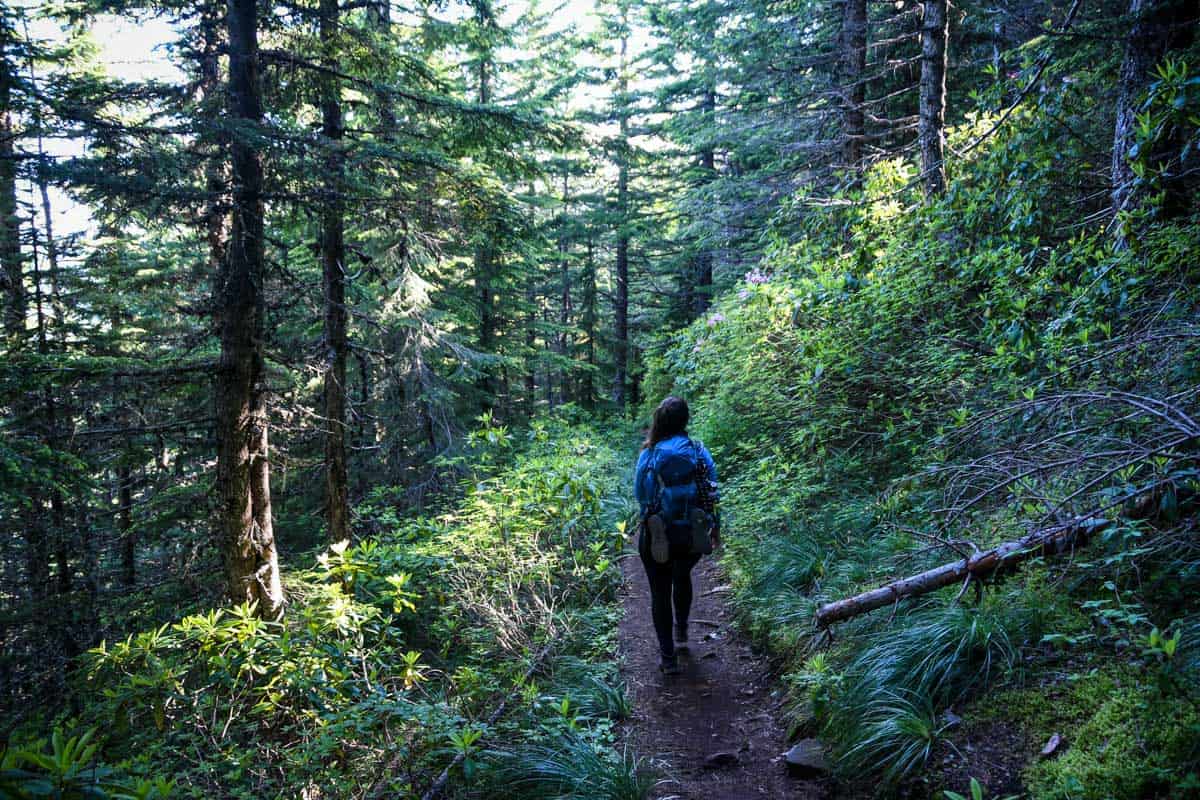 Tom Dick and Harry Mountain hike