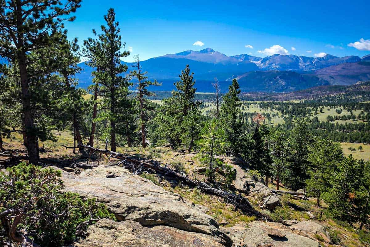 Deer Mountain Trail (Weston Ferguson)