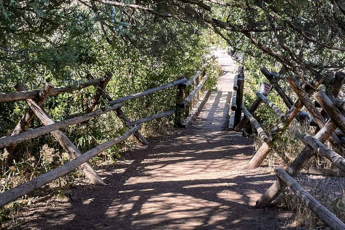 Goldbug Hot Springs trail (Bassim Saade)