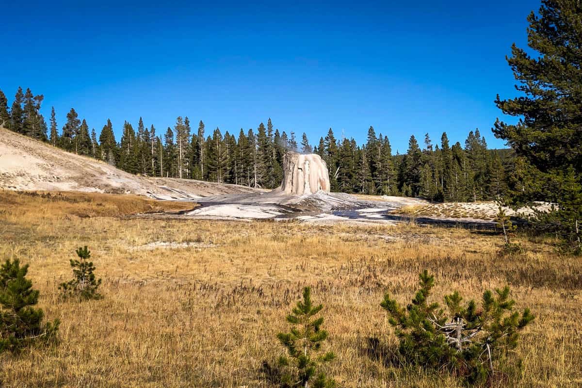 Lone Star Geyser Trail (William Patrick)