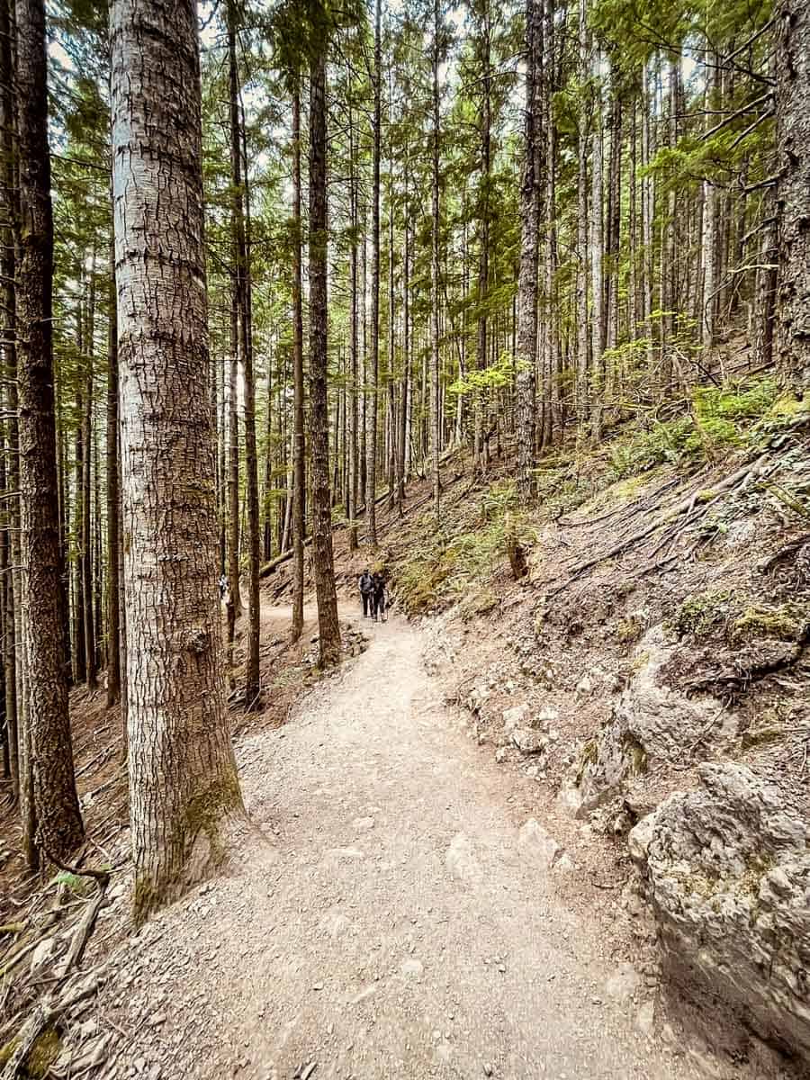 Rattlesnake Ledge Trail Guide - Go Wander Wild