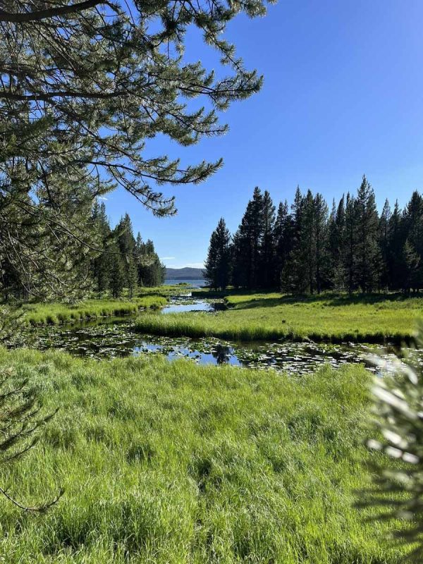 Shoshone Lake via Delacy Creek (Sierra Smith)