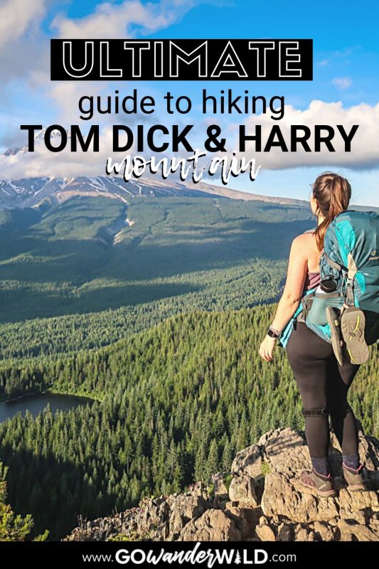 Tom Dick and Harry Mountain hike | Go Wander Wild