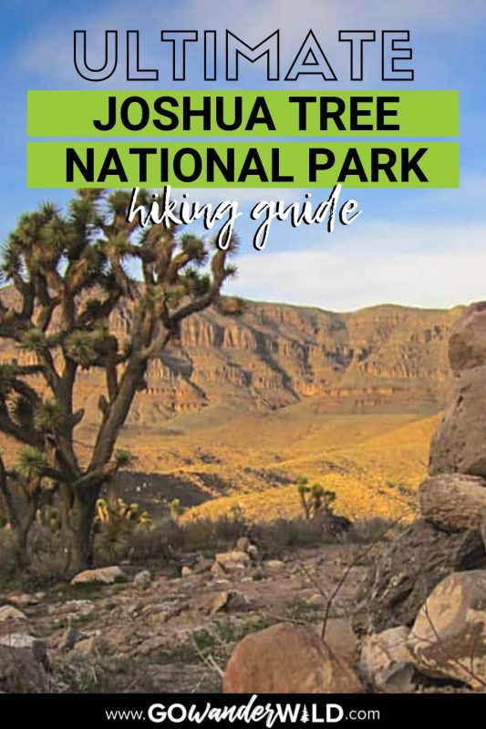 Best hikes in Joshua Tree National Park | Go Wander Wild