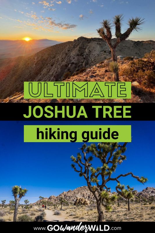 Best hikes in Joshua Tree National Park | Go Wander Wild
