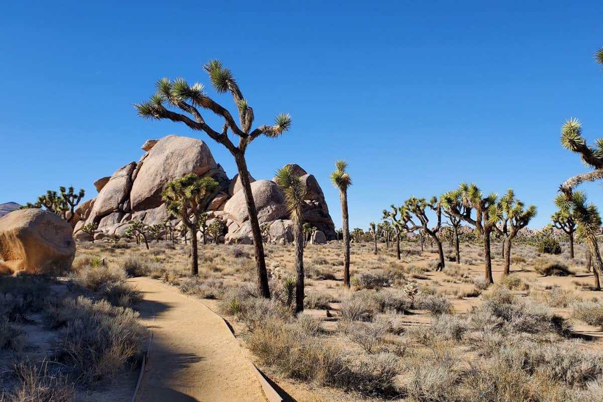 Cap Rock (Debbie Gley)
