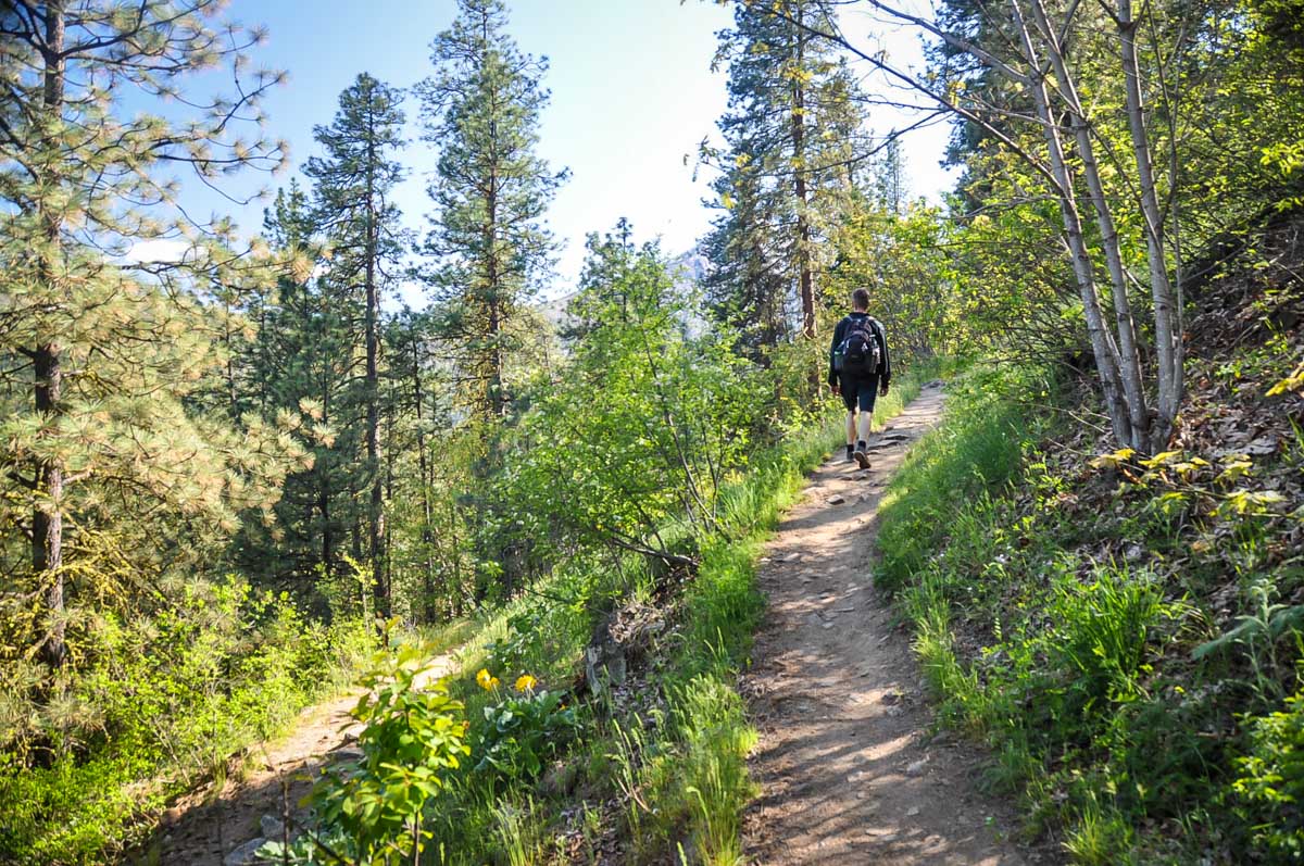 Icicle Ridge trail Leavenworth Washington