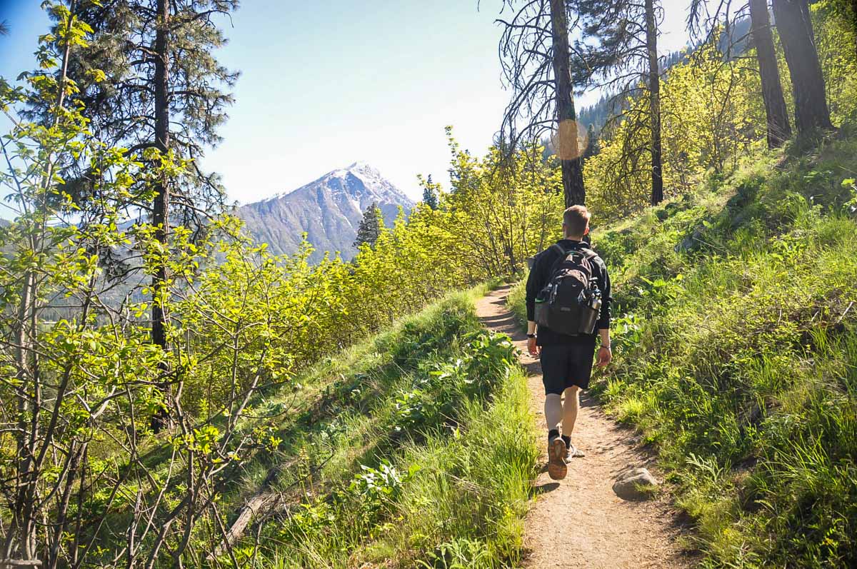 Icicle Ridge Trail Guide - Go Wander Wild