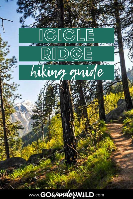 Icicle Ridge trail | Go Wander Wild