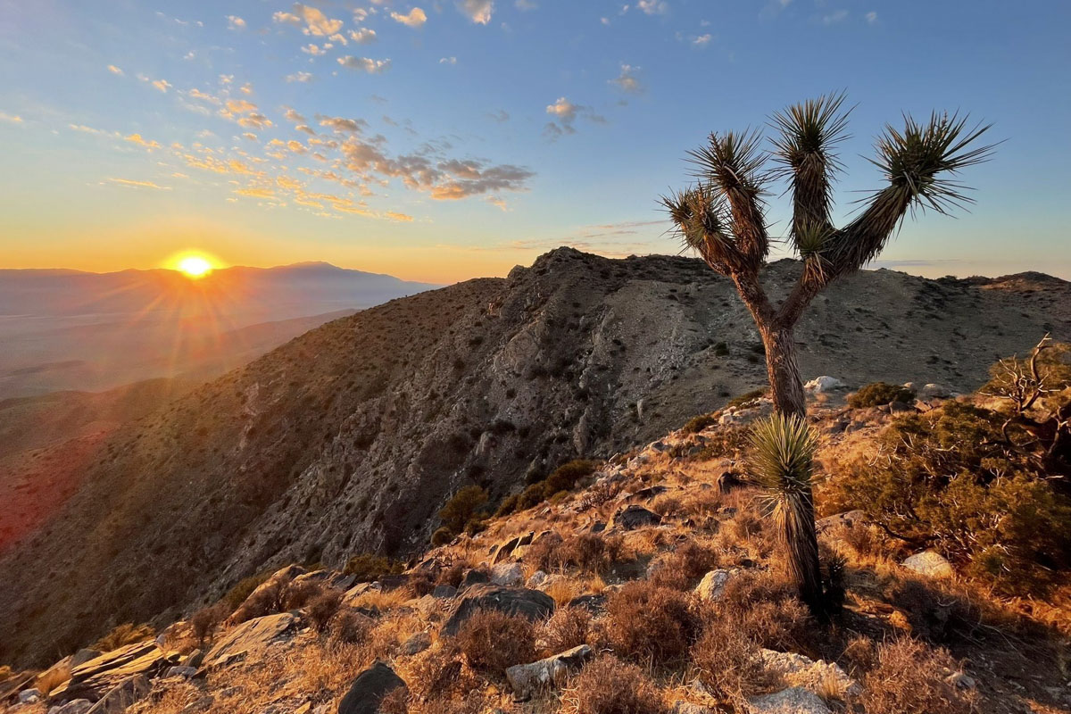 15 Best Hikes At Joshua Tree National Park, California - Go Wander Wild