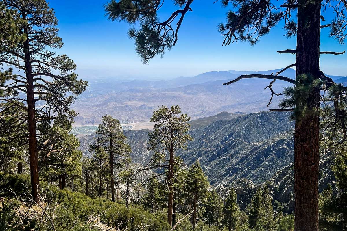 Mastodon Peak Loop (Marina V)