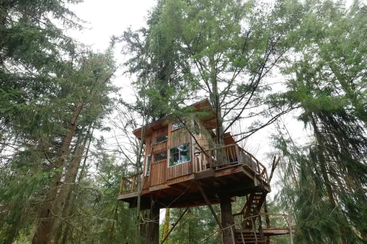 Cabins in Washington | Peaceful Treehouse Nestled in the Woods