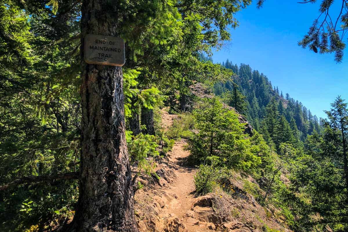 Mount Storm King Trail Guide for Olympic National Park - Go Wander Wild