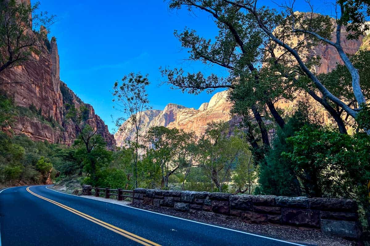 Scenic Drive in Zion National Park