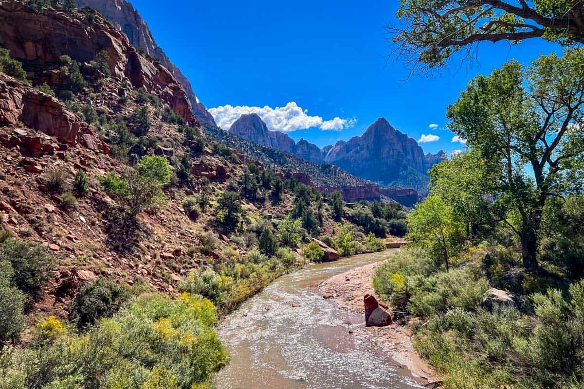 Scenic Drive in Zion National Park