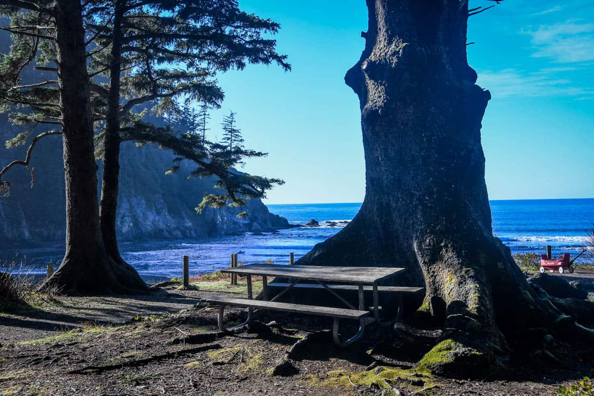Oswald West State Park Oregon