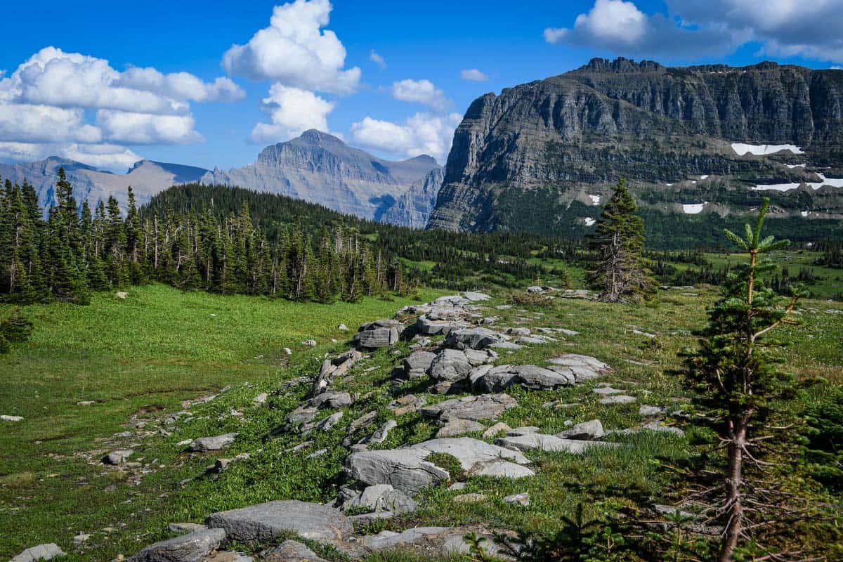 17 Best Hikes In Glacier National Park, Montana - Go Wander Wild