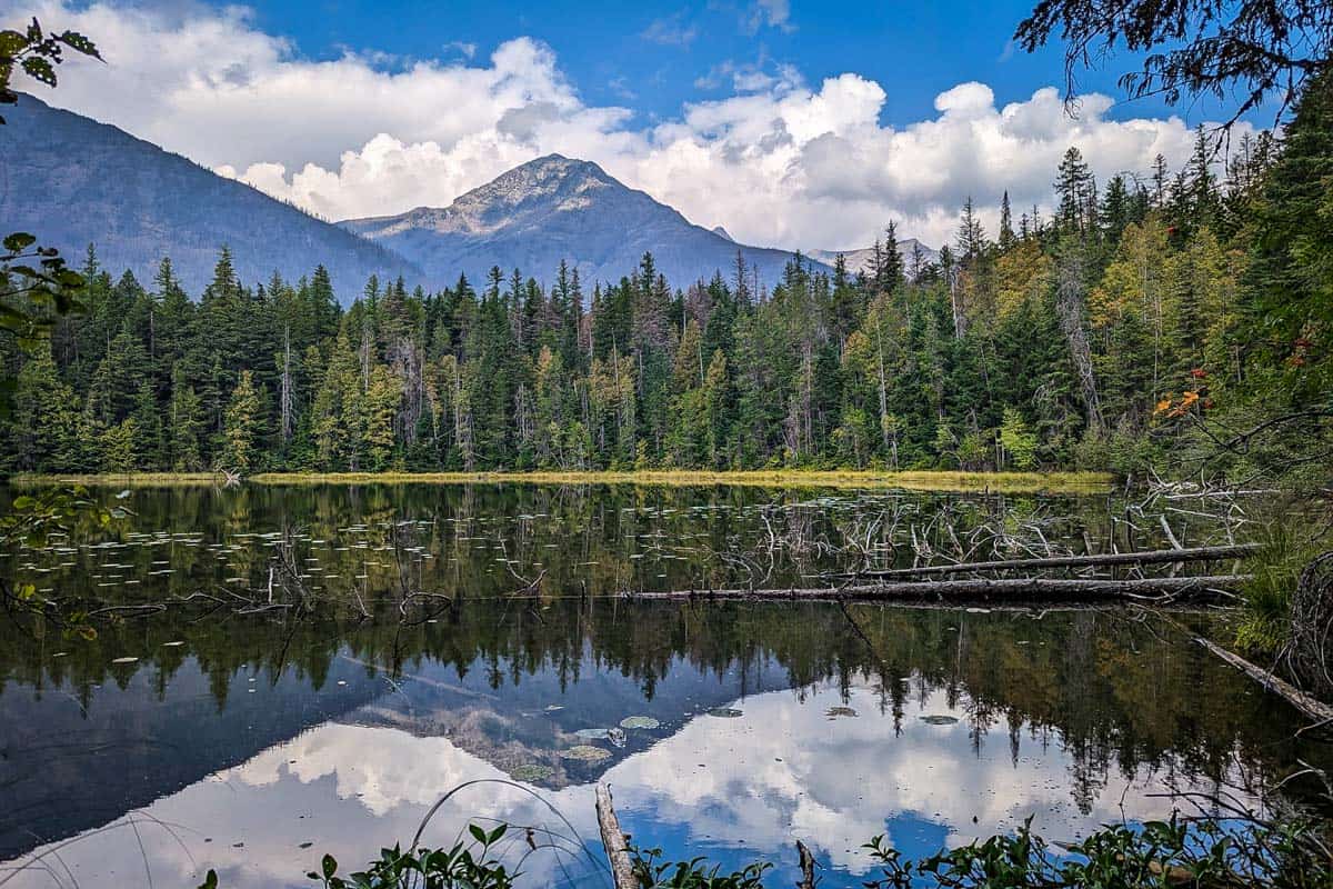 Johns Lake Loop (Alex Shurygin)