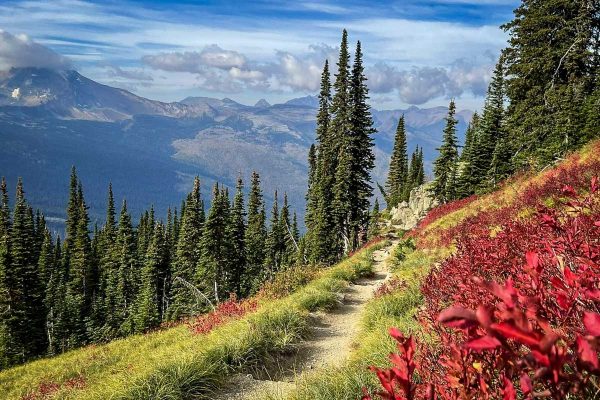 17 Best Hikes in Glacier National Park, Montana - Go Wander Wild