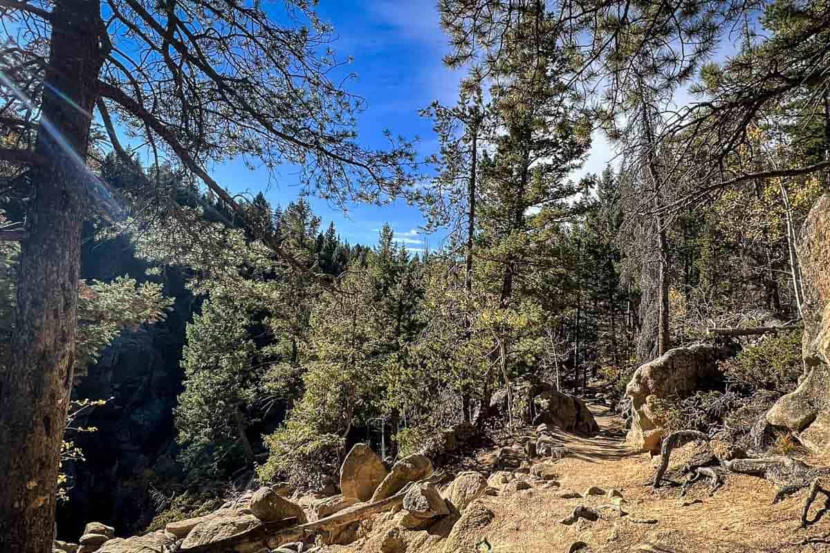 Maxwell Falls Lower Trail (Donna Mondi)