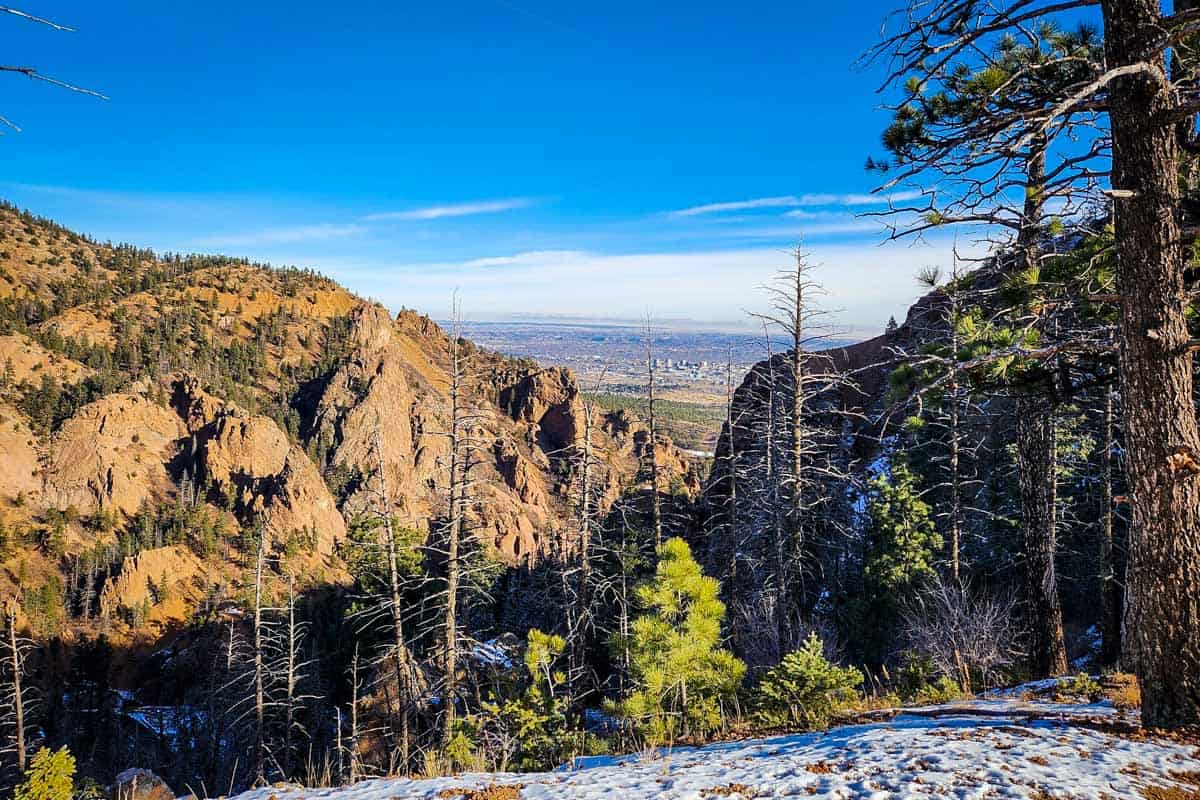 Mount Cutler Trail (Michele Dickinson)