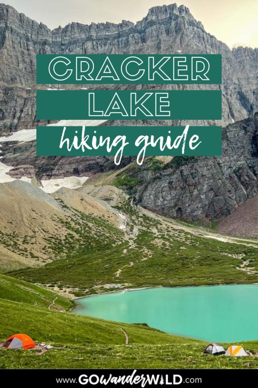 Cracker Lake Trail Guide For Glacier National Park Go Wander Wild