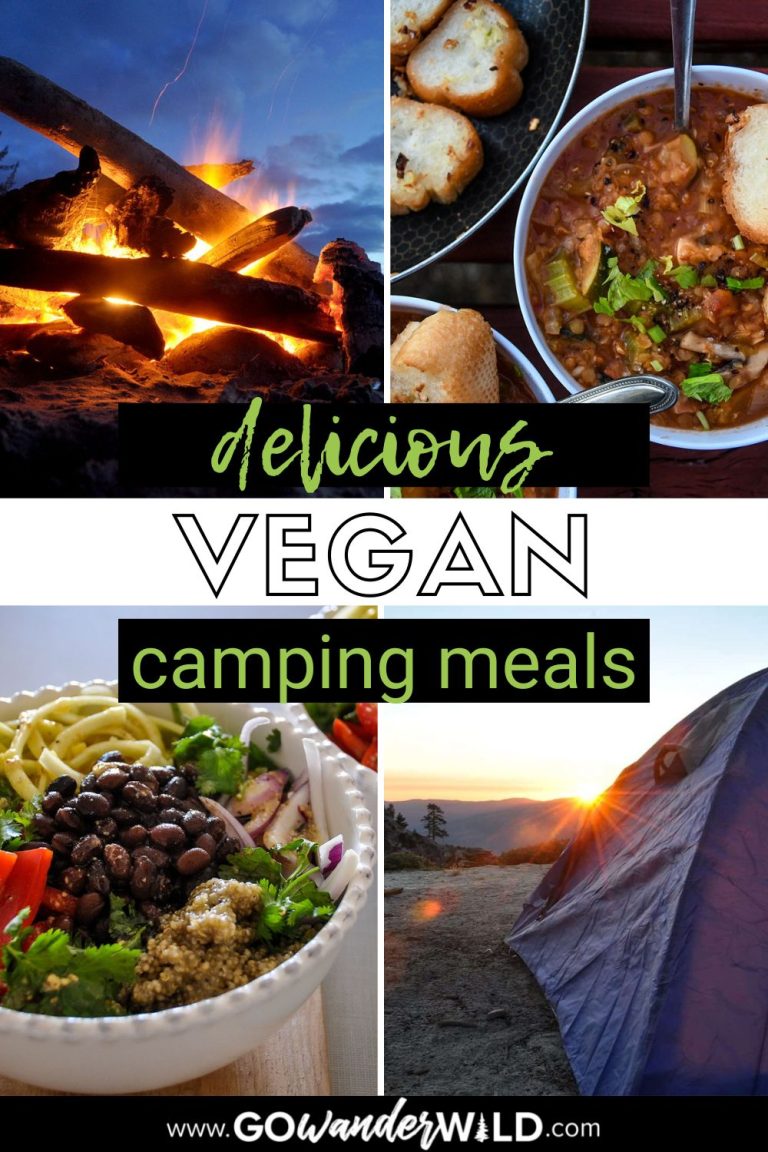 25 Best Vegan Camping Food Ideas Go Wander Wild