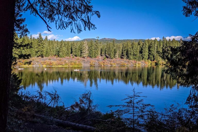 19 Scenic Oregon Lakes to Cool Off in This Summer - Go Wander Wild