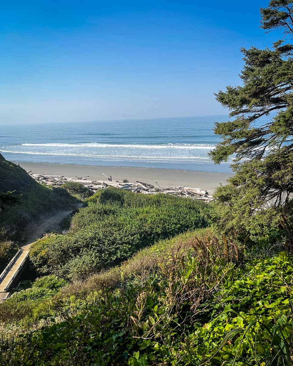 12 Best Olympic National Park Beaches to Explore - Go Wander Wild