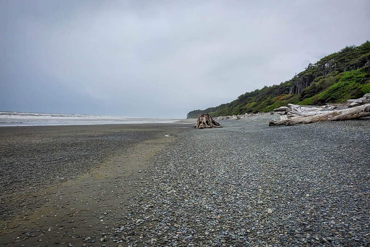 Kalaloch 2nd Beach (Nancy Glazer)