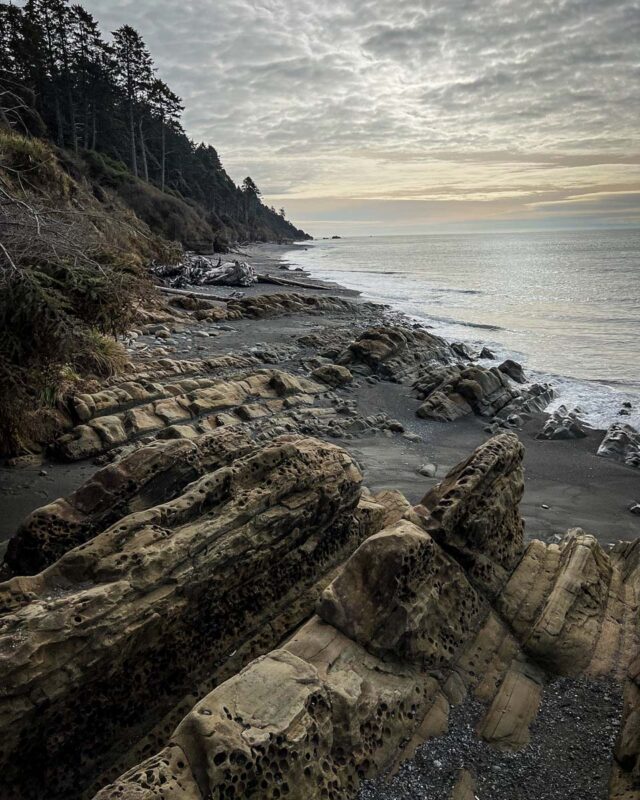 Kalaloch Beach 4 (Sonya Rhein)