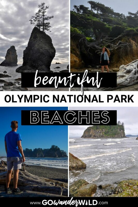 Olympic National Park beaches | Go Wander Wild