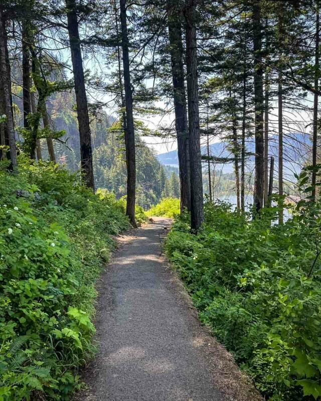 Multnomah Falls Hike (Robin Vaughn) 3