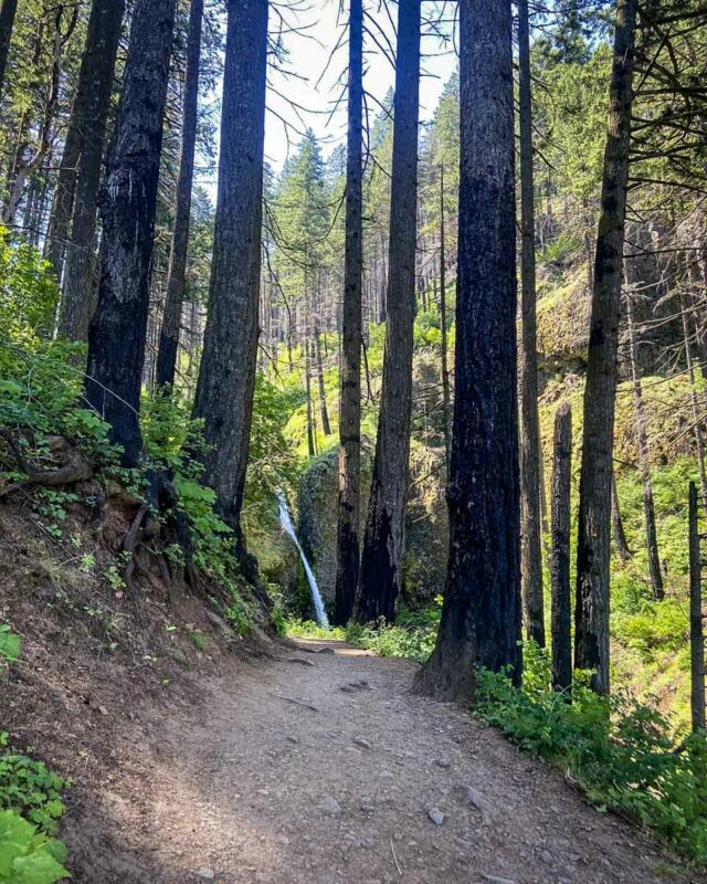 Multnomah Falls Hike: Oregon's Most Popular Waterfall - Go Wander Wild