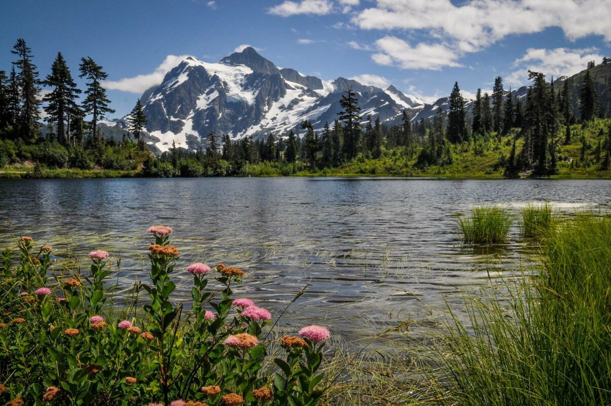 Picture Lake Mount Baker Wilderness Washington
