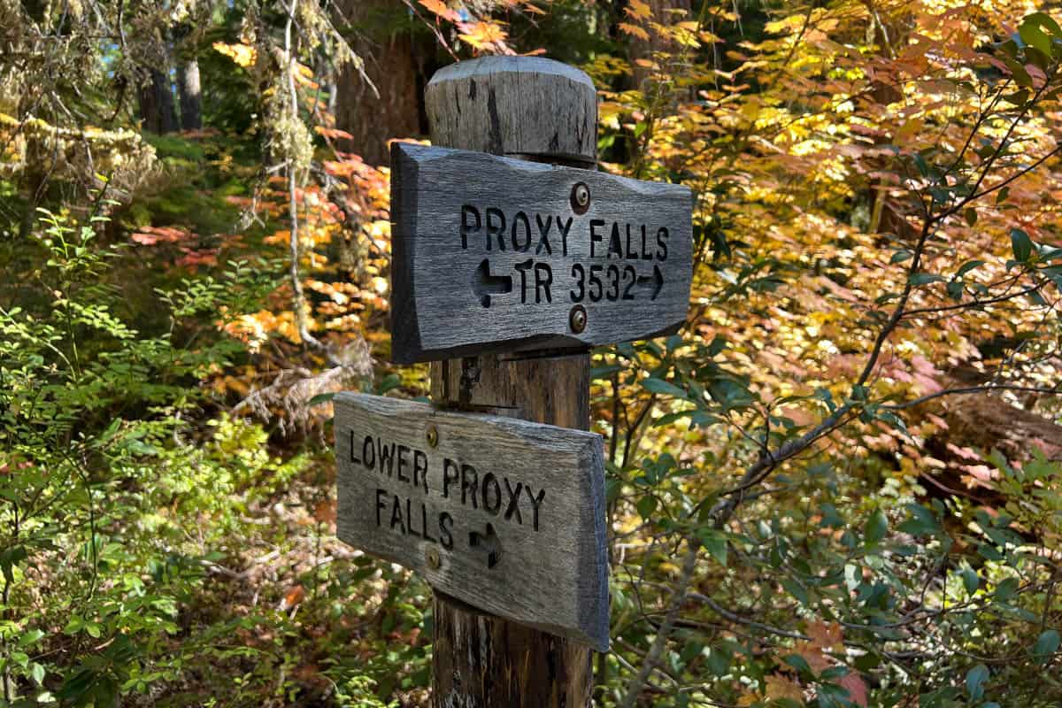 Proxy Falls Oregon Trail Guide - Go Wander Wild