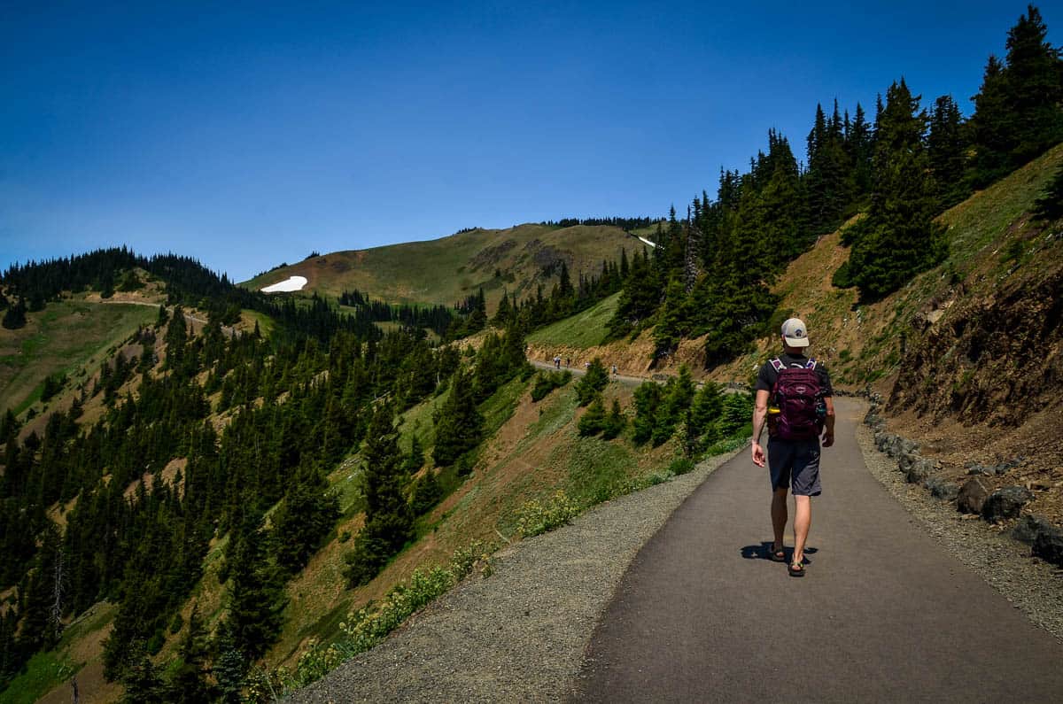 Hurricane Ridge trail Olympic National Park