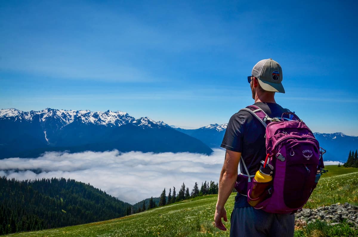 Hurricane Ridge trail Olympic National Park