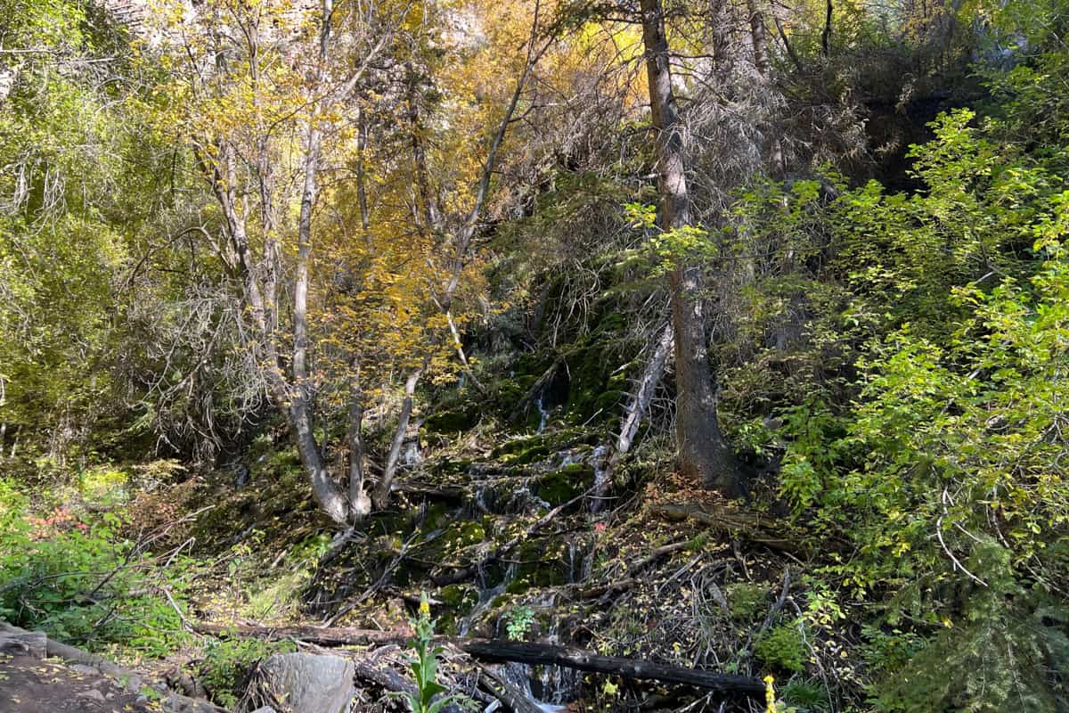 Hanging Lake hike