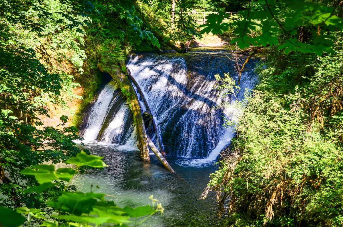 Lower North Falls Trail of Ten Falls Silver Falls State Park Oregon-11