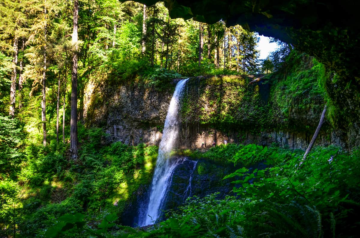 Trail of Ten Falls: Silver Falls State Park Hiking Guide - Go Wander Wild