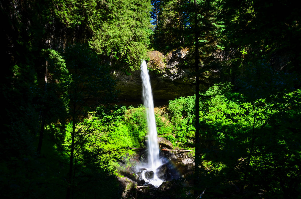 North Falls Trail of Ten Falls Silver Falls State Park Oregon